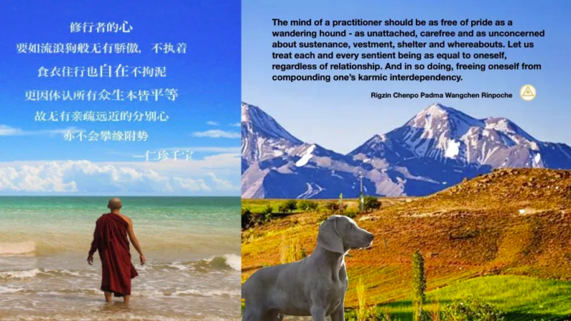 BF27030E-6E4C-43BD-AF72-6940021837B8