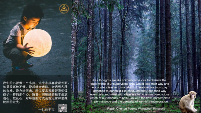 03CFD591-9576-4CE8-9AB2-D13E0E61DF3D